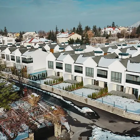 3917 Erciyes Kayseri