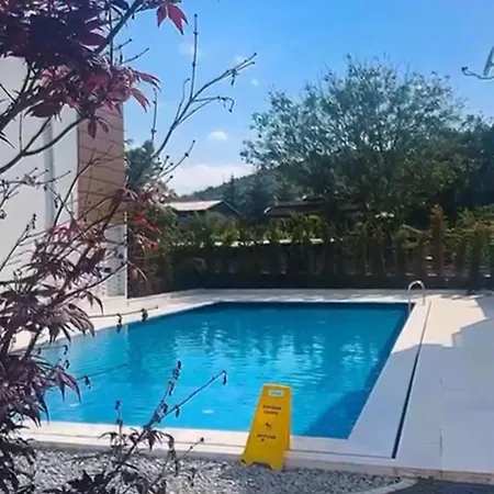 3917 Erciyes Kayseri