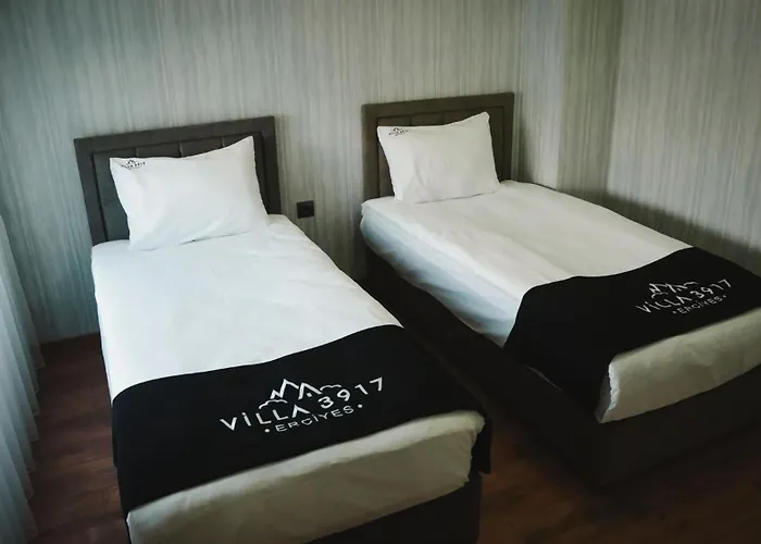 3917 Erciyes Кайсери