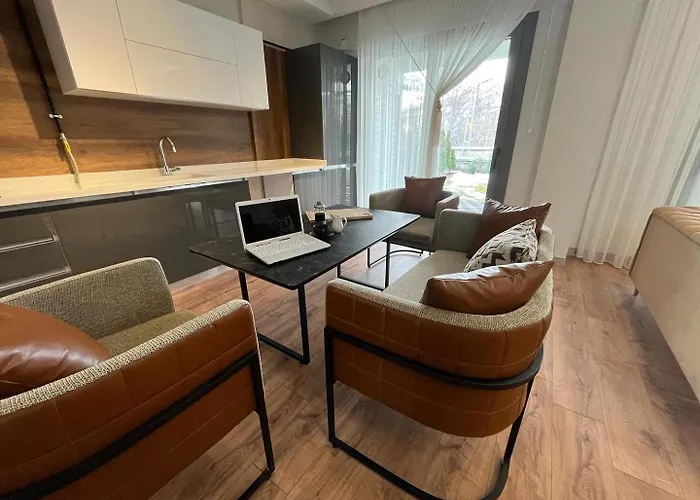 3917 Erciyes Кайсери