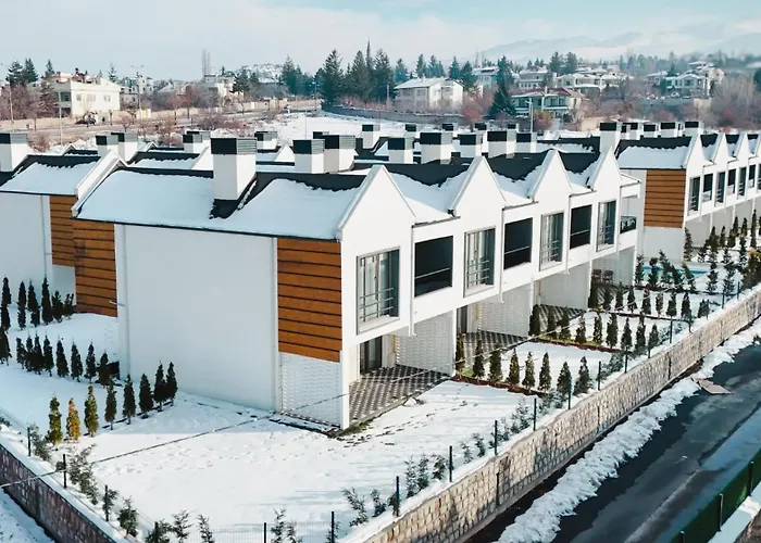 3917 Erciyes Villa *