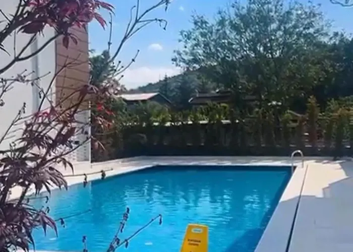 3917 Erciyes Kayseri